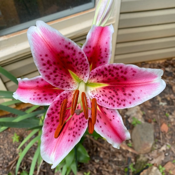 Meet your Posher, Summer - Picture 1 of 1